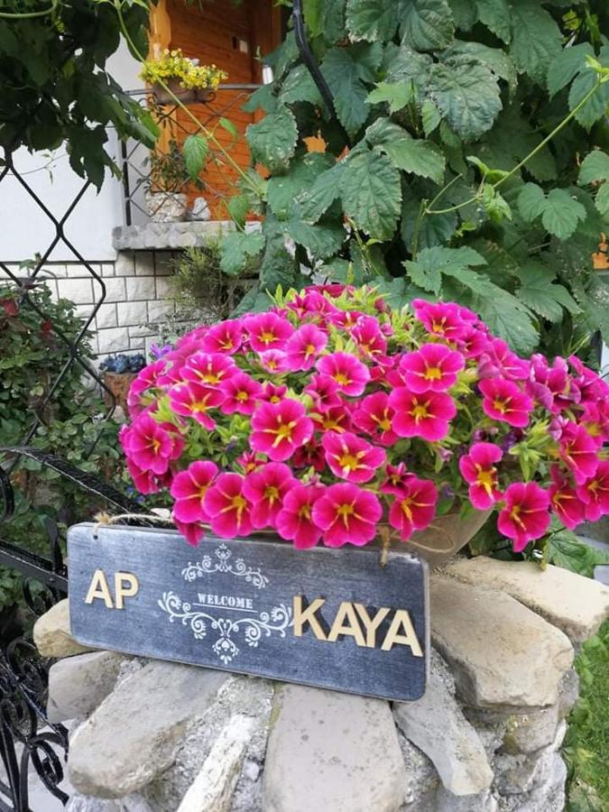 Apartment Kaya Мойстрана Экстерьер фото